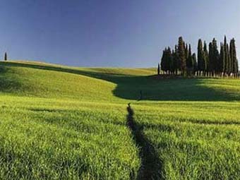 《綻放》600字作文